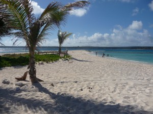 Strand på Anguilla. Lej bil på Billeje.info