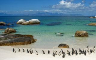 Boulders Beach, bare en seværdighed du kan opleve med biludlejning i Cape Town.