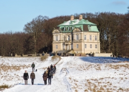 Udlandsdansker billeje i Danmark om vinteren