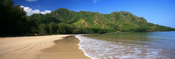 Strand Hawaii Lej bil på Billeje.info