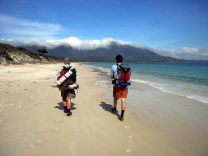 Strand på Tasmanien. Lej bil på Billeje.info